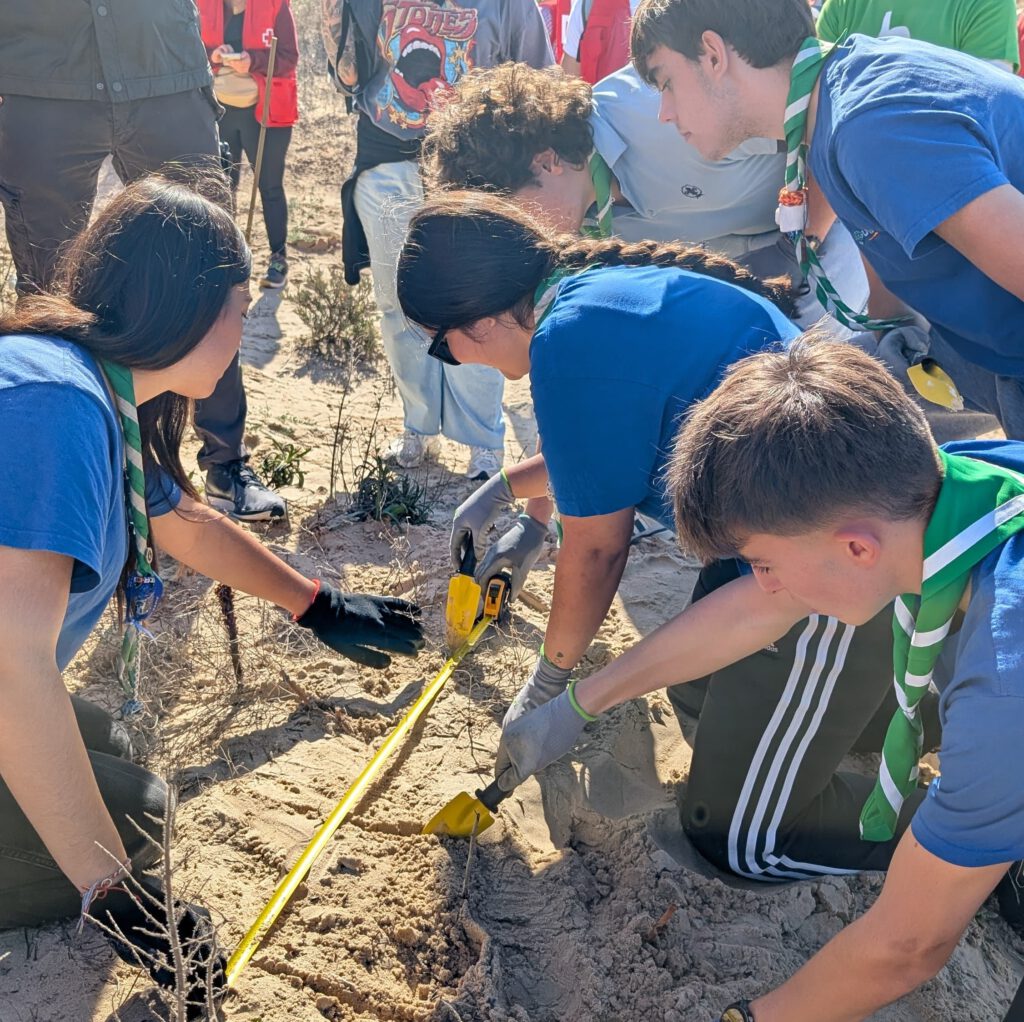 Grupo de jóvenes scouts trabajando en equipo al aire libre, midiendo y excavando en la arena durante una actividad de servicio y cuidado del entorno natural.